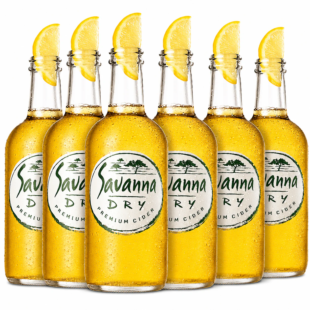 תמונה ממוזערת 1