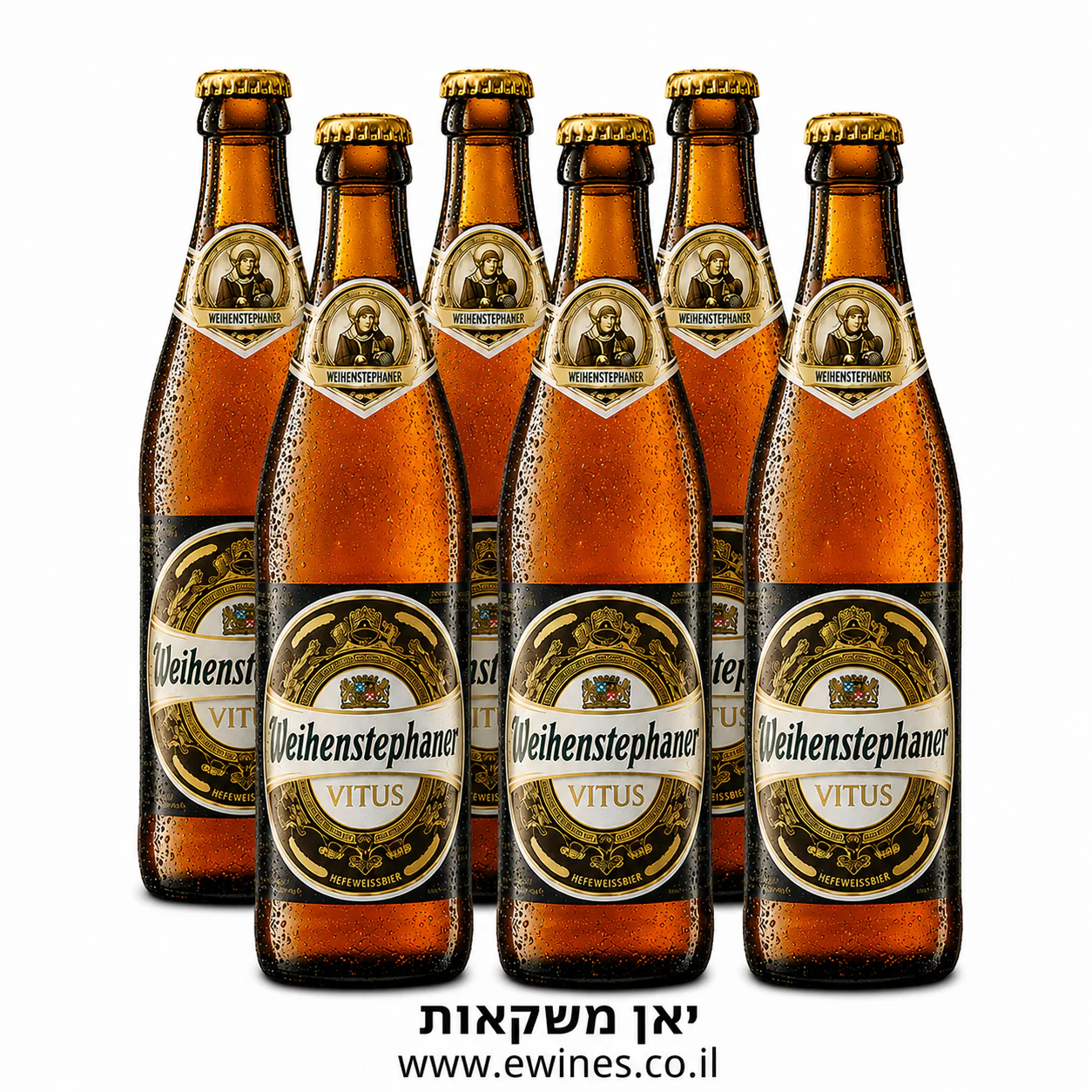 תמונה ממוזערת 1