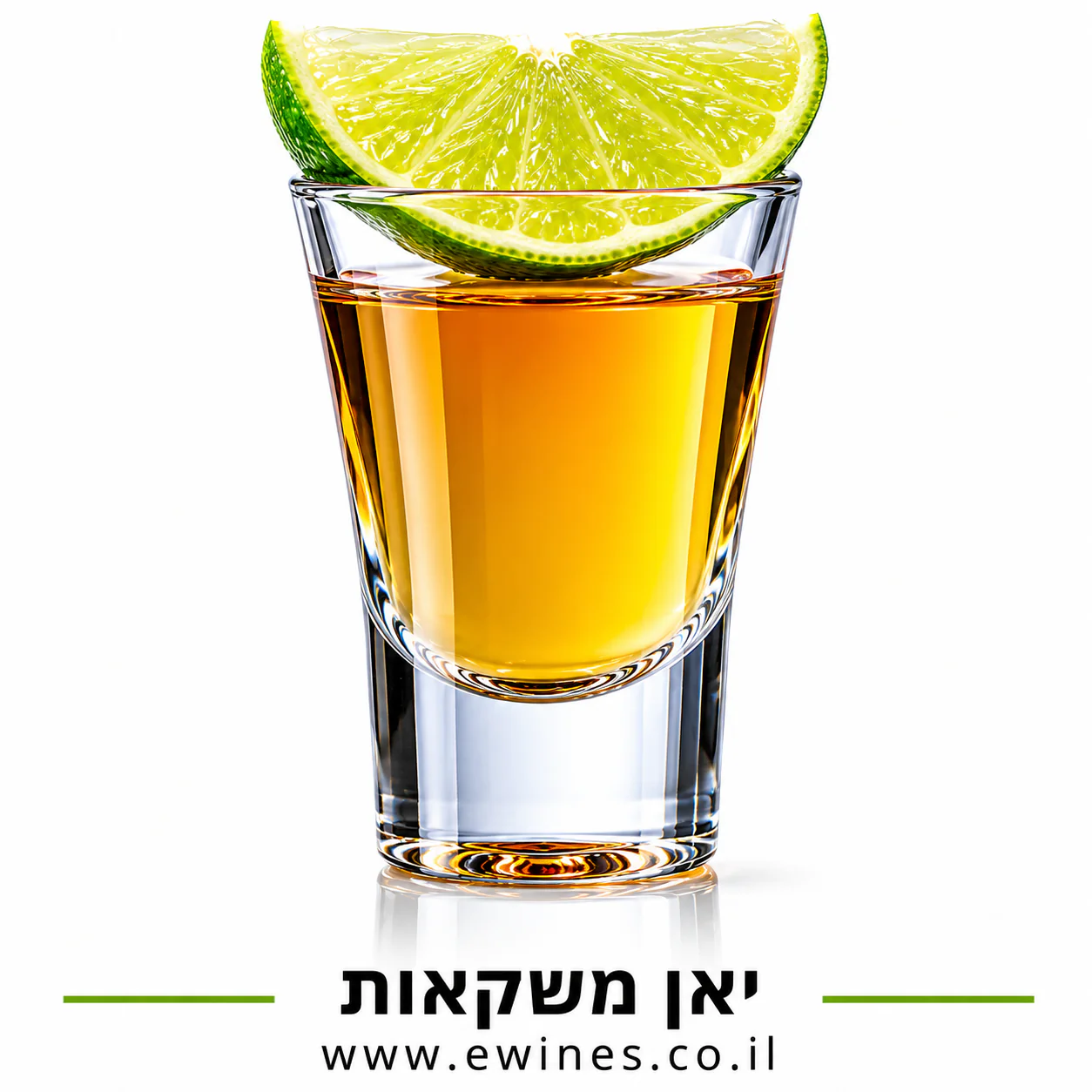 תמונה ממוזערת 1